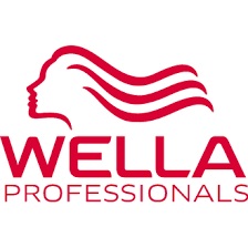 Wella Professionals Kick Starts the Launch of Kromatic Collection with Delhi